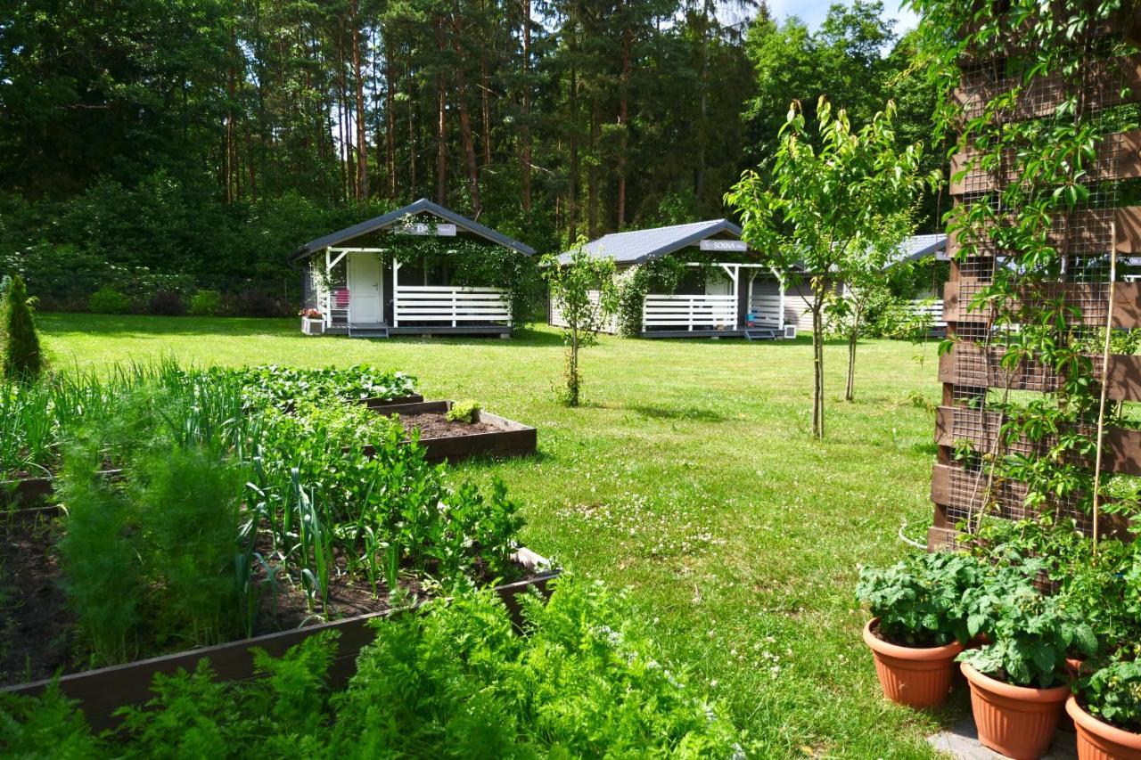 Villa Przylesie21 Ustka Esterno foto
