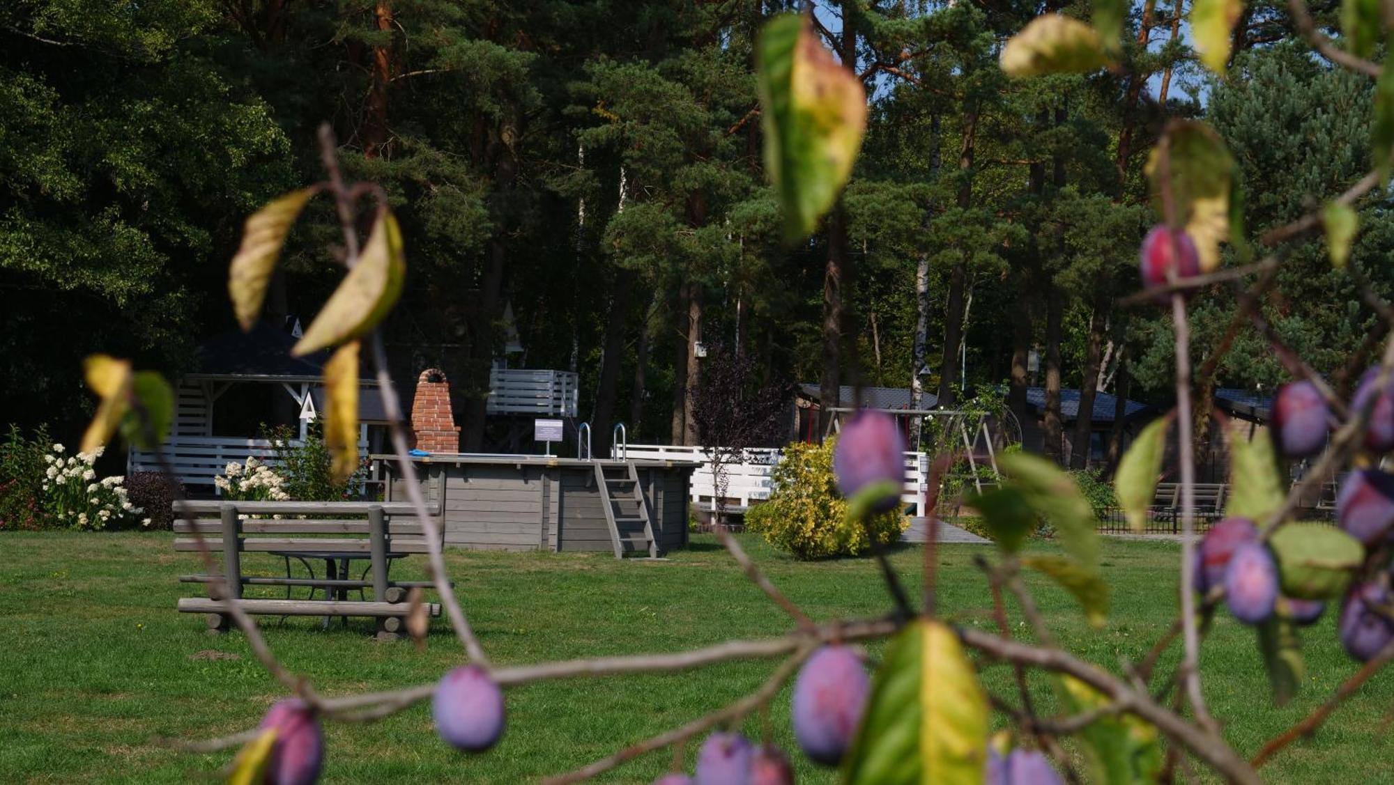 Villa Przylesie21 Ustka Esterno foto